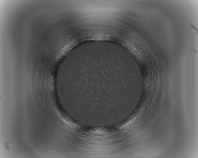 X0000095910303200801181401