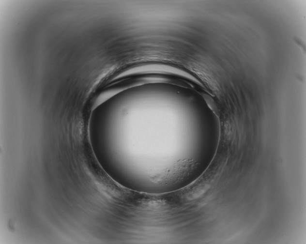 X0000095910304200801181401