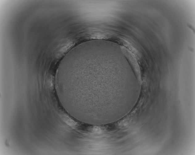 X0000095910305200801181401