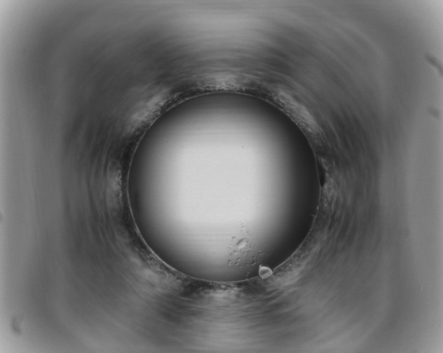 X0000095910306200801181401