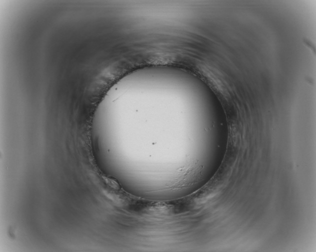 X0000095910307200801181401