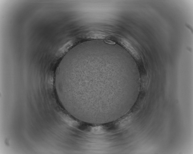 X0000095910309200801181401