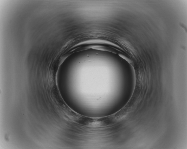 X0000095910312200801181401