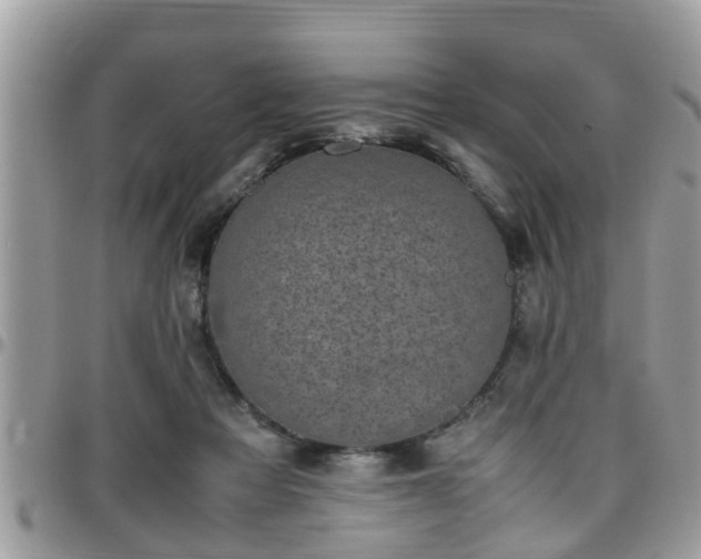 X0000095910313200801181401