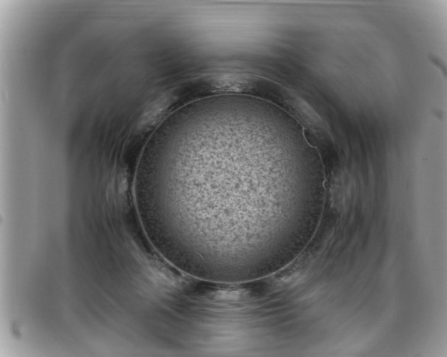 X0000095910314200801181401