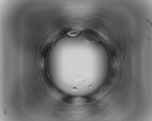 X0000095910315200801181401