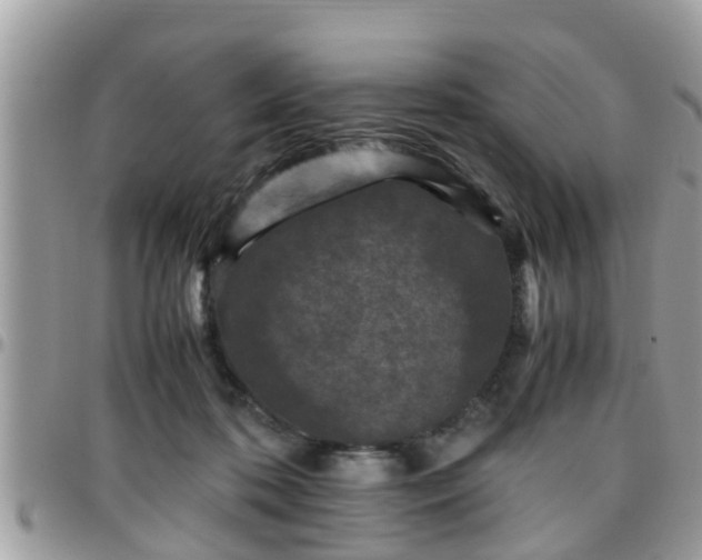 X0000095910316200801181401