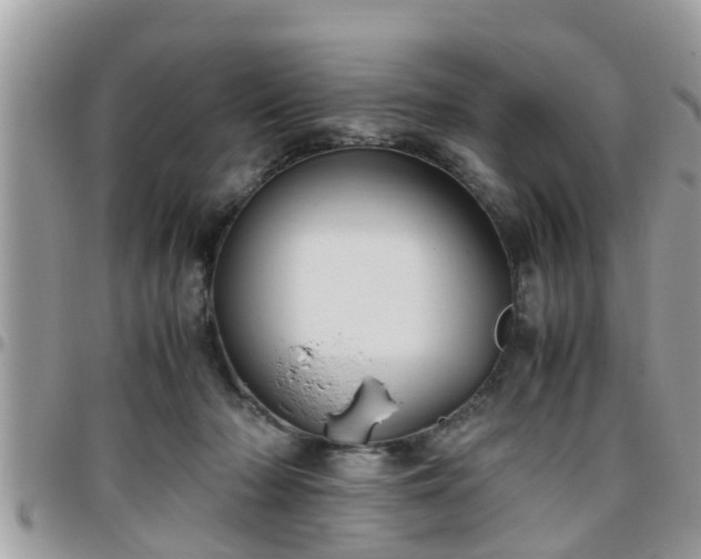 X0000095910318200801181401