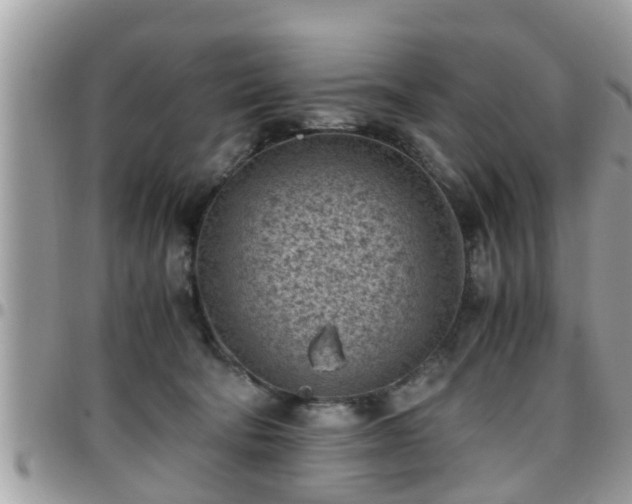 X0000095910322200801181401