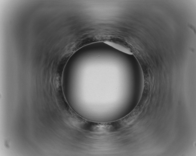 X0000095910323200801181401