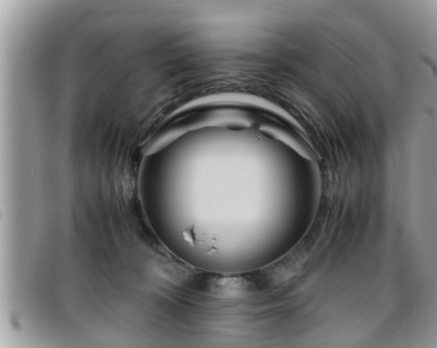 X0000095910324200801181401