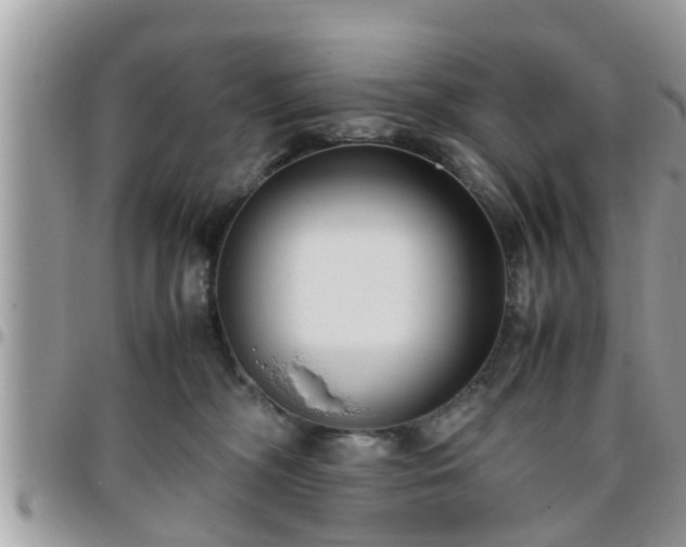 X0000095910326200801181401