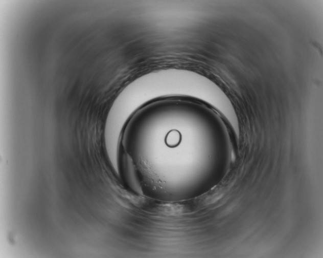 X0000095910328200801181401