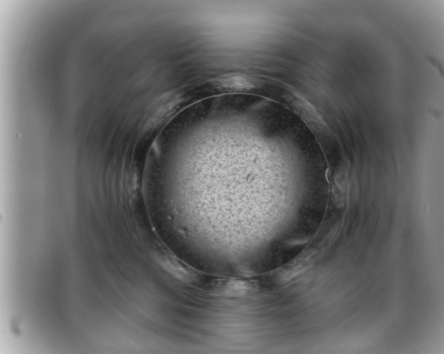 X0000095910330200801181401