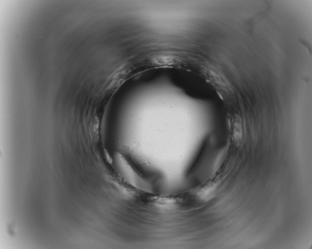 X0000095910332200801181401