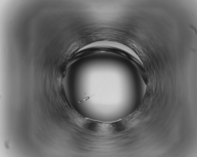 X0000095910333200801181401