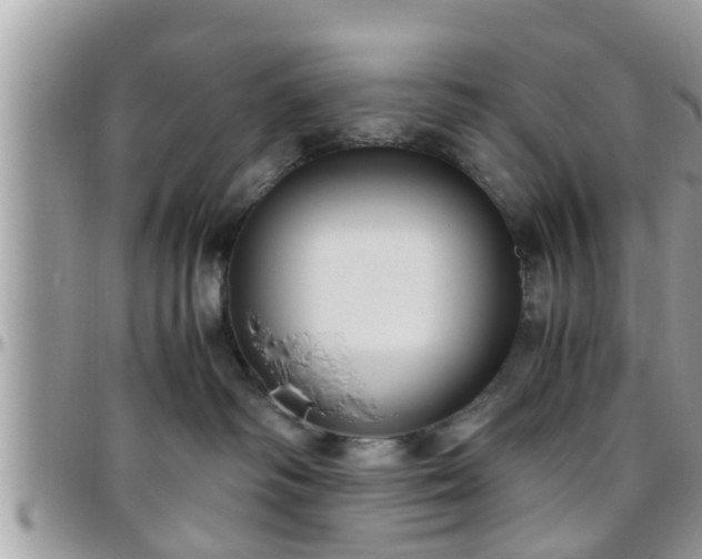 X0000095910334200801181401