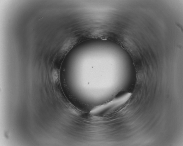 X0000095910335200801181401