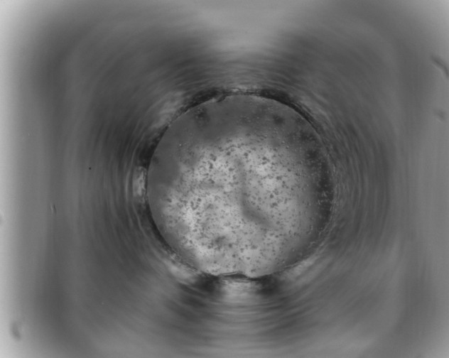 X0000095910336200801181401