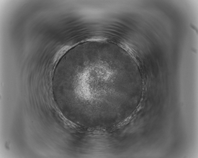 X0000095910337200801181400