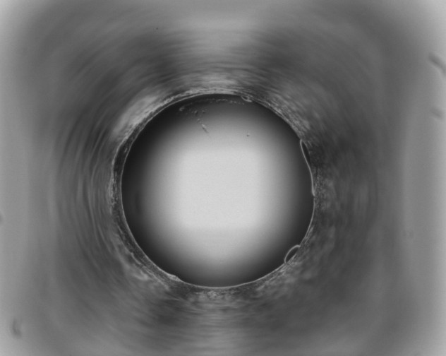 X0000095910338200801181400