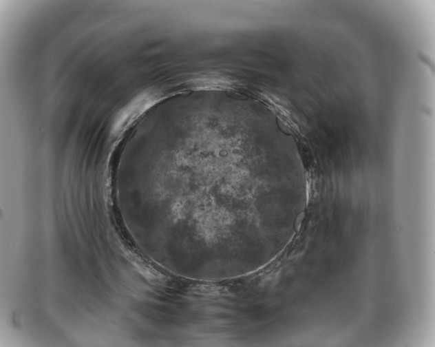 X0000095910339200801181400