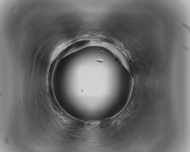 X0000095910340200801181400