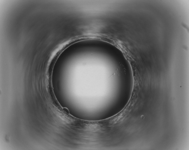 X0000095910342200801181400