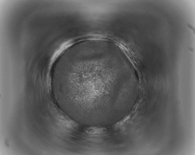 X0000095910343200801181400