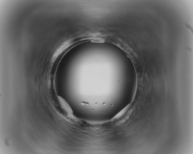 X0000095910344200801181400