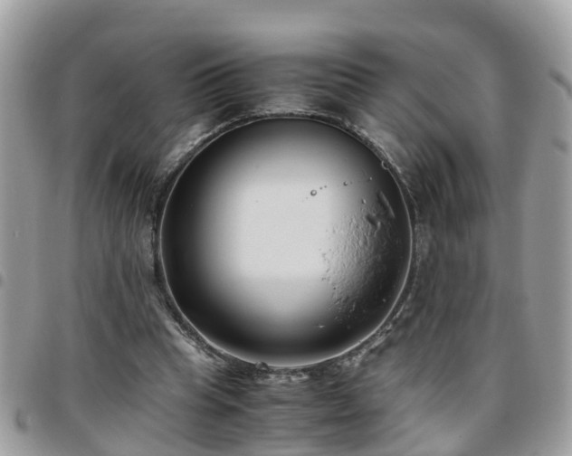 X0000095910345200801181400