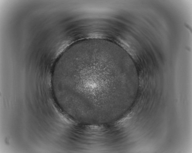 X0000095910347200801181400