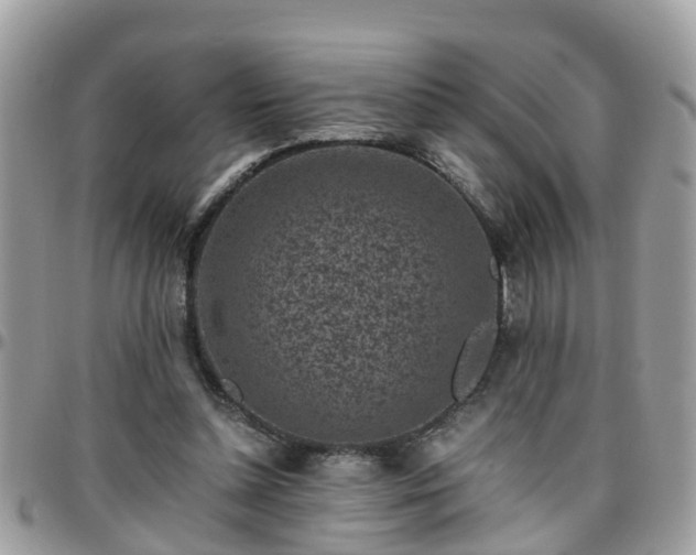 X0000095910348200801181400