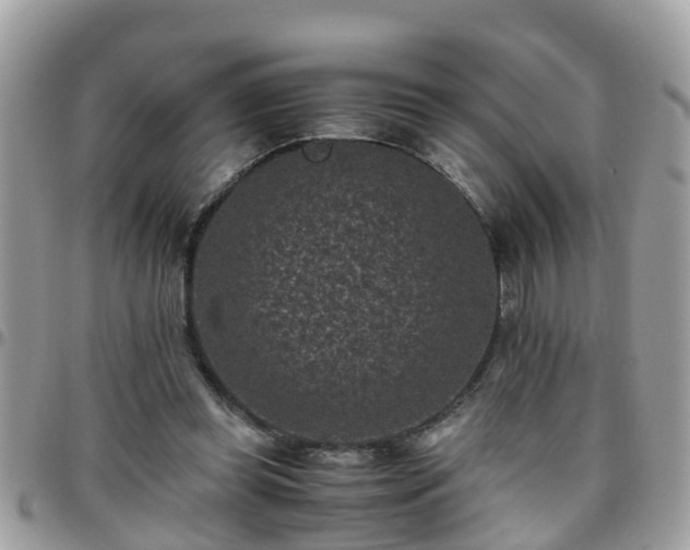 X0000095910349200801181400