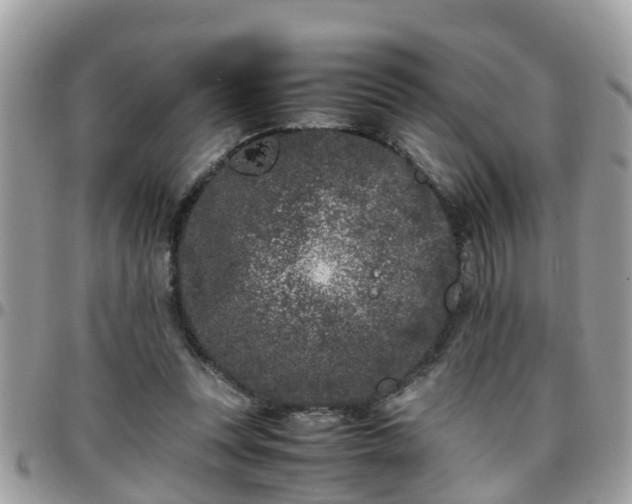 X0000095910351200801181400