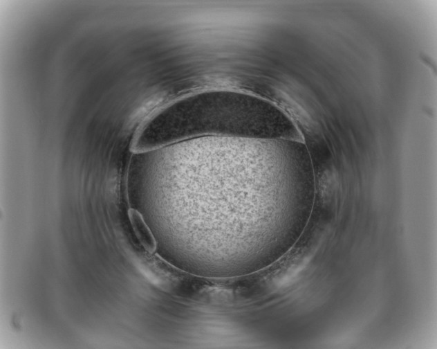 X0000095910352200801181400