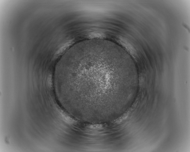 X0000095910353200801181400