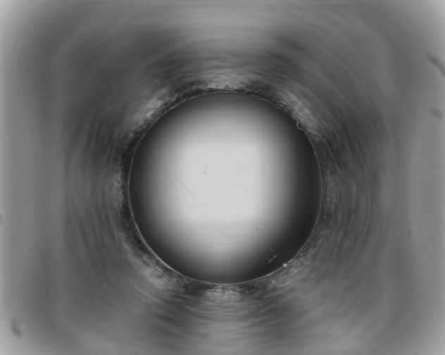 X0000095910354200801181400