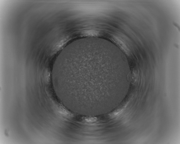 X0000095910355200801181400