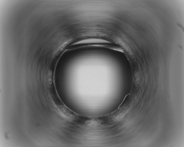 X0000095910356200801181400