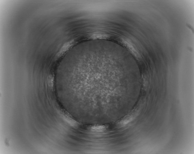 X0000095910357200801181400