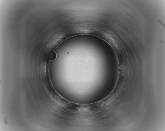 X0000095910358200801181400