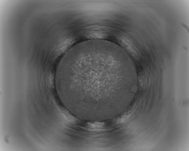 X0000095910359200801181400