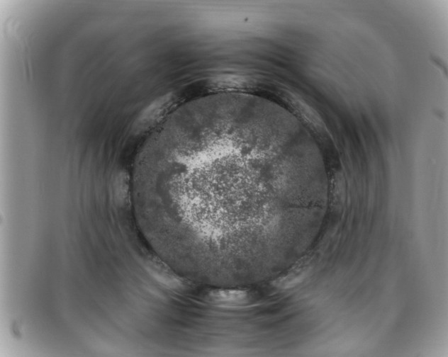 X0000095910361200801181400