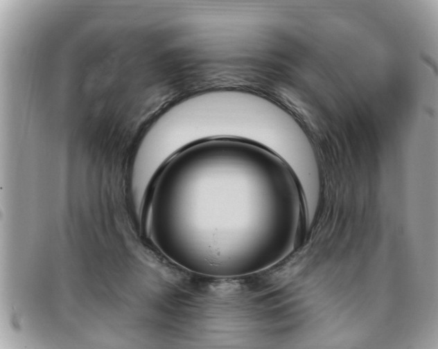 X0000095910362200801181400