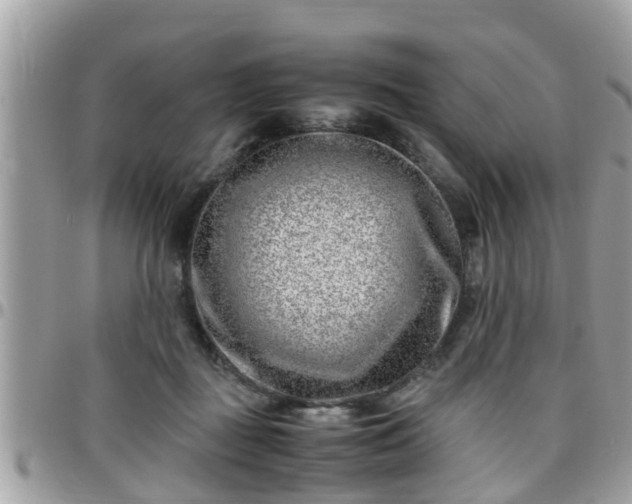 X0000095910363200801181401