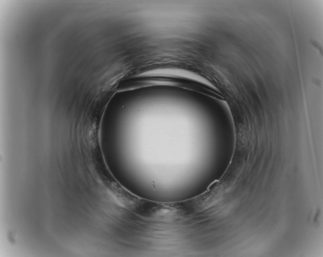 X0000095910364200801181401