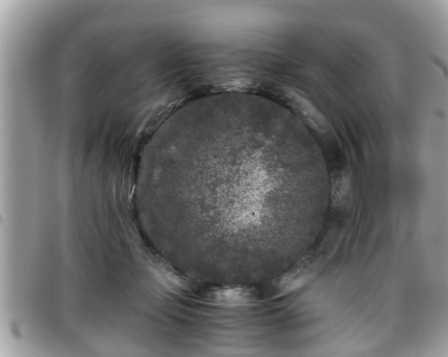 X0000095910365200801181401