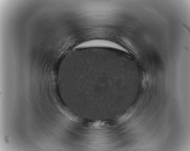 X0000095910366200801181401