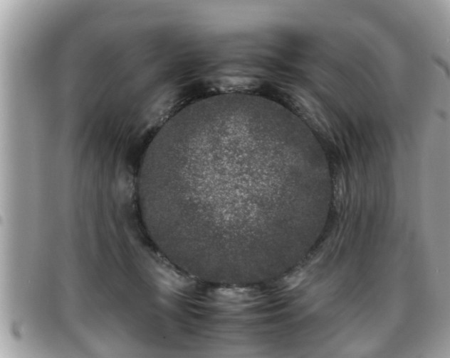 X0000095910367200801181401